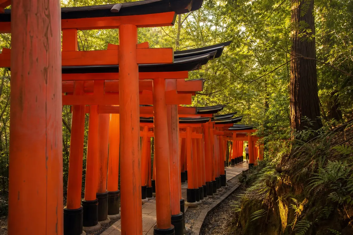 Tokyo and Kyoto, Japan travel scene