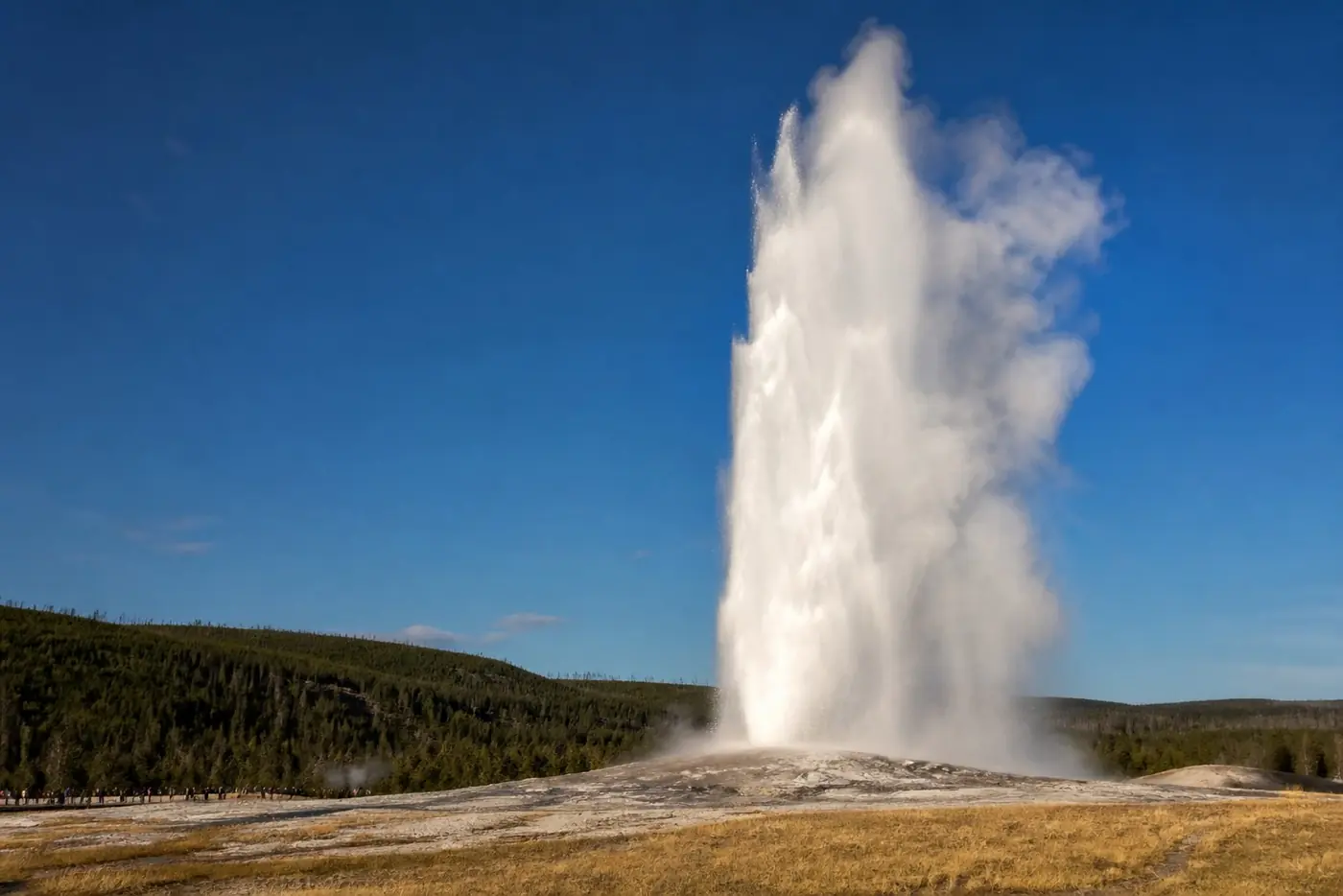 Yellowstone landscape with a distant geyser